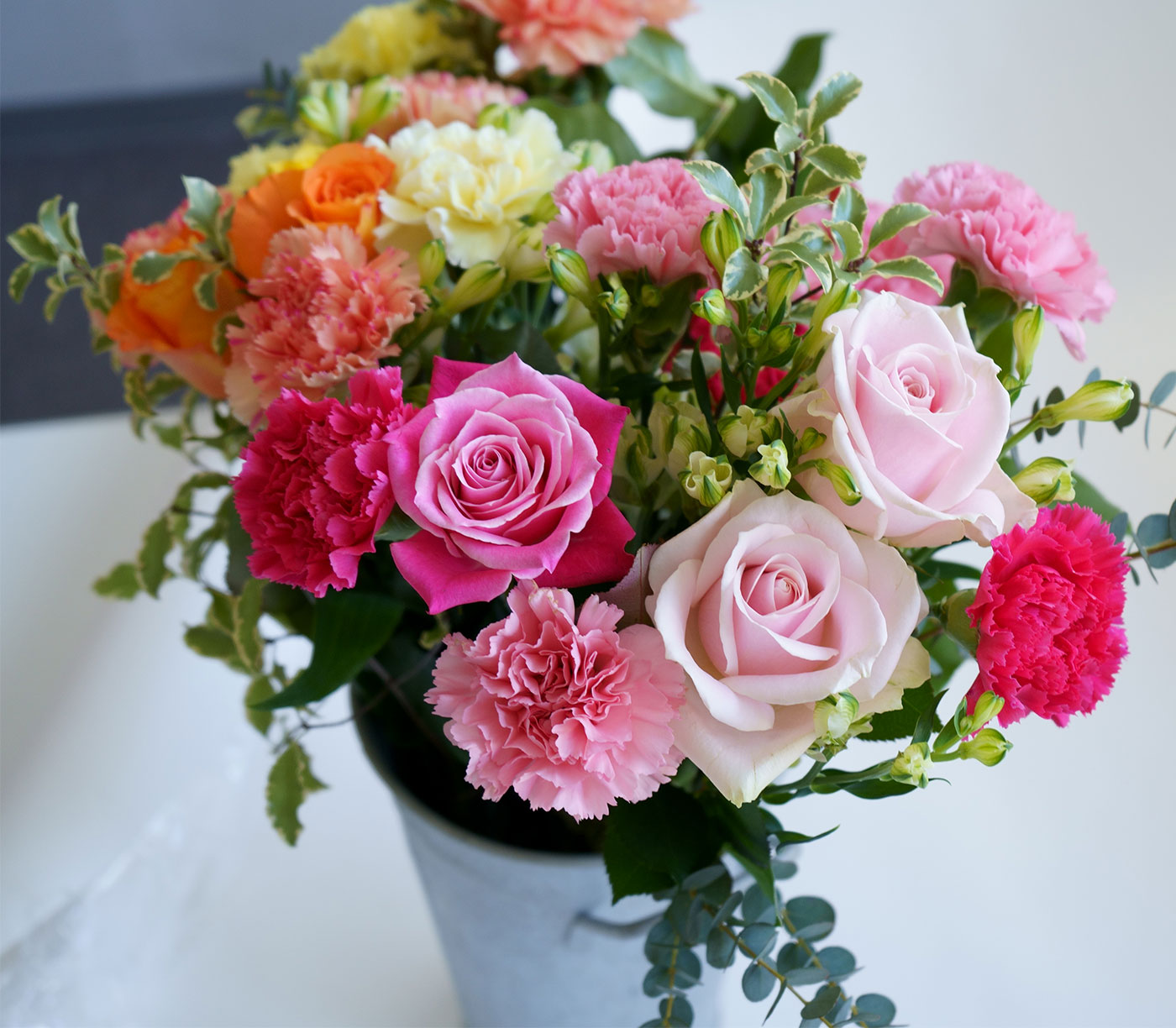 マルベリーガーデン 花や植物 ペットと暮らす癒し空間 マルベリーガーデン 花や植物 ペットと暮らす癒し空間